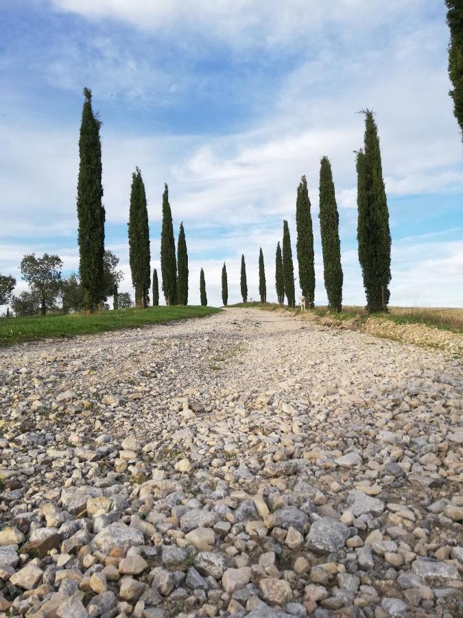 Podere Sant'Antonio Vila Buonconvento Exterior foto