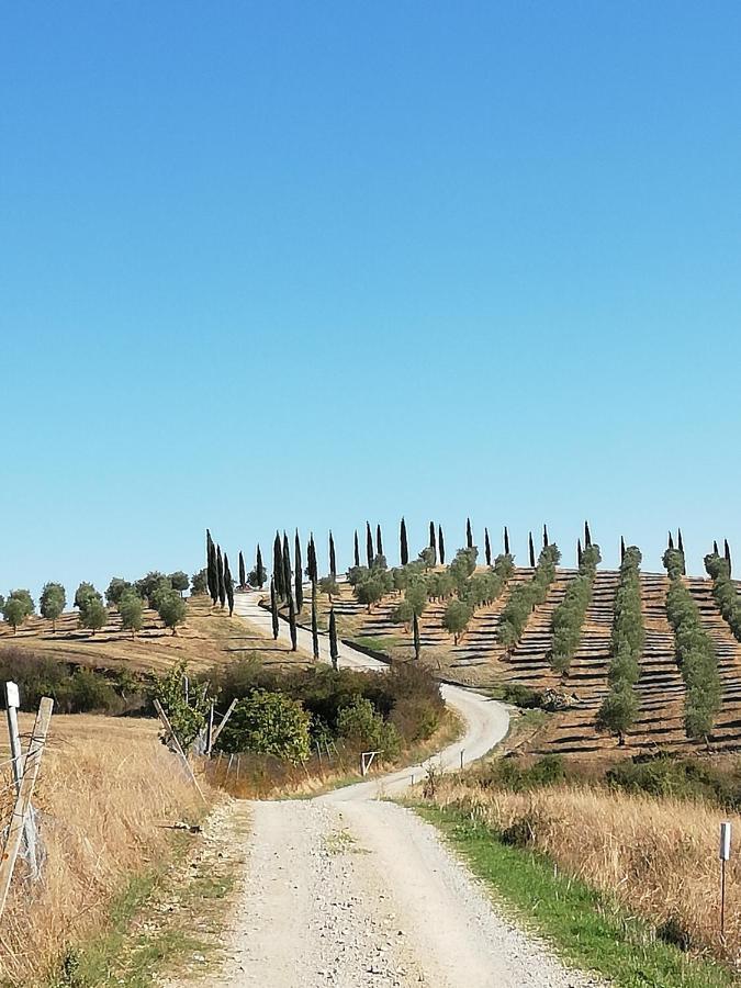Podere Sant'Antonio Buonconvento Exterior foto