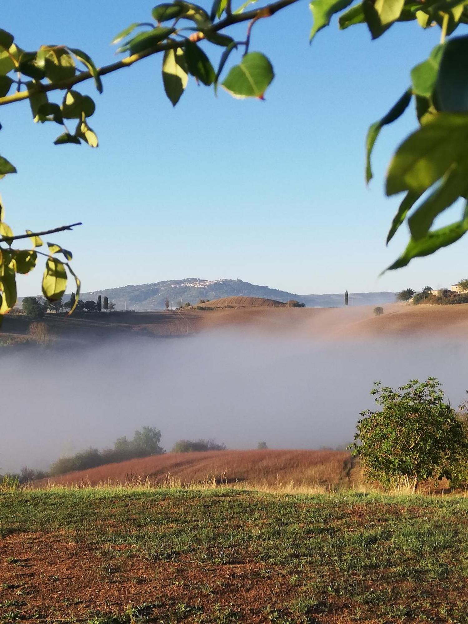 Podere Sant'Antonio Vila Buonconvento Exterior foto